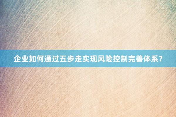 企业如何通过五步走实现风险控制完善体系？