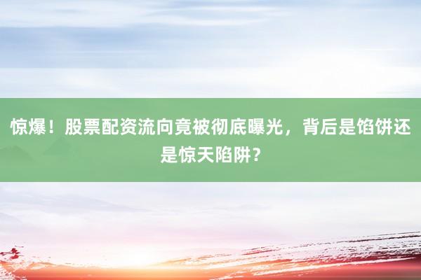 惊爆！股票配资流向竟被彻底曝光，背后是馅饼还是惊天陷阱？