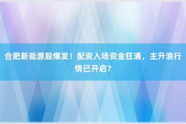 合肥新能源股爆发!配资入场资金狂涌,主升浪行情已开启?