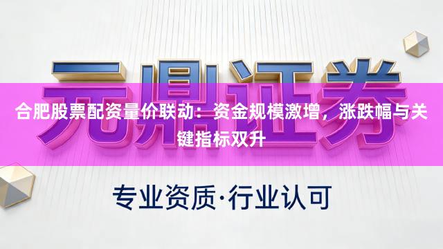 合肥股票配资量价联动：资金规模激增，涨跌幅与关键指标双升