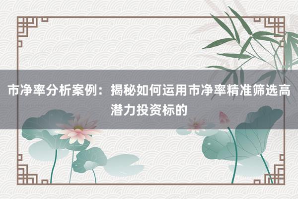 市净率分析案例：揭秘如何运用市净率精准筛选高潜力投资标的