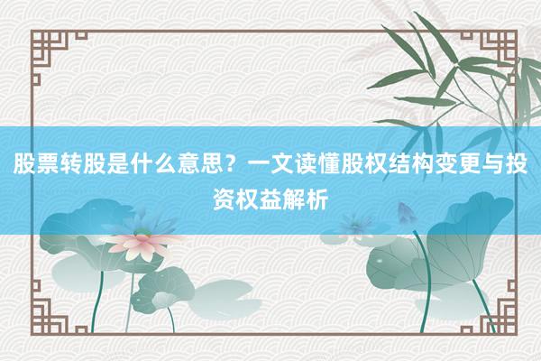 股票转股是什么意思？一文读懂股权结构变更与投资权益解析