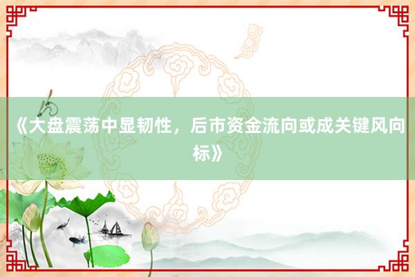 《大盘震荡中显韧性，后市资金流向或成关键风向标》